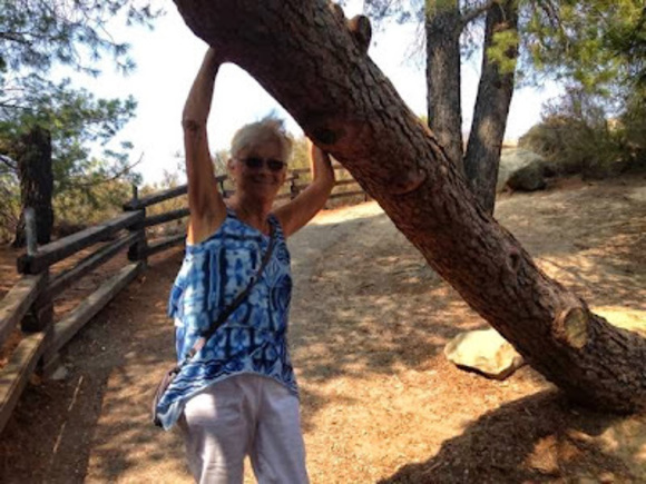 Meet your Posher, Dolores - Picture 1 of 1